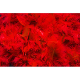Декоративні пір'я для ліжка Obsessive, червоні – фото