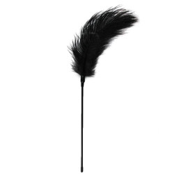 Перо страусине для ласк Easytoys Feather Tickler, 55 х 12 см – фото