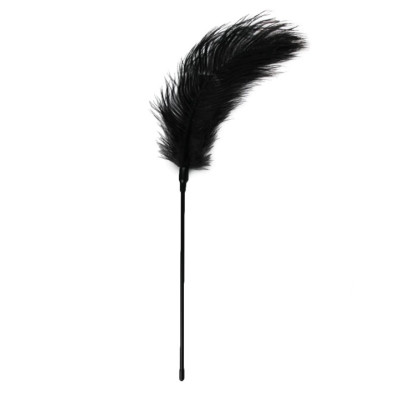 Перо страусине для ласк Easytoys Feather Tickler, 55 х 12 см (216409) – фото 1