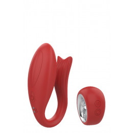 Вибратор для пар Dream Toys с беспроводным пультом управления, красный – фото