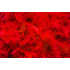 Декоративні пір'я для ліжка Obsessive, червоні (215409) – фото 3