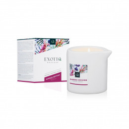 Массажная свеча Exotiq Massage с ароматом бамбуковой орхидеи, 60 мл