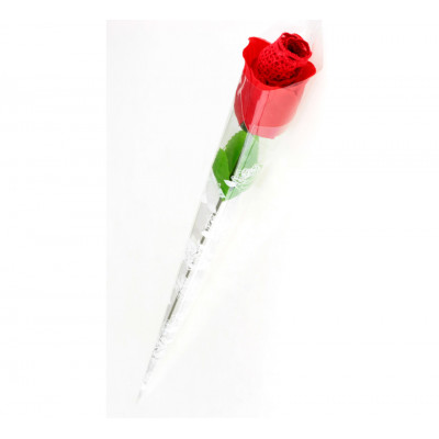 Трусики з губками у вигляді трояндочки, S / M (39815) – фото 1