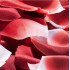 Ароматизовані пелюстки троянд ROSE PETAL EXPLOSION від Bijoux Indiscrets (30955) – фото 3